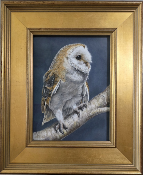 Ayla-Barn Owl 12 x 9 $800.00  at Hunter Wolff Gallery